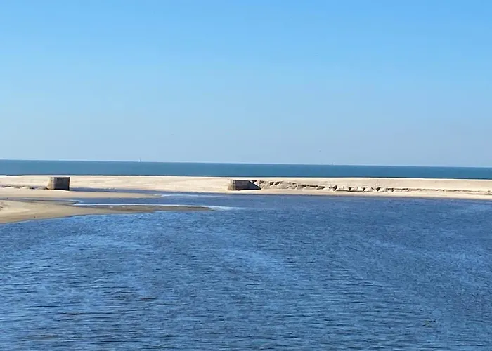 Espaco Alvim Appartement *